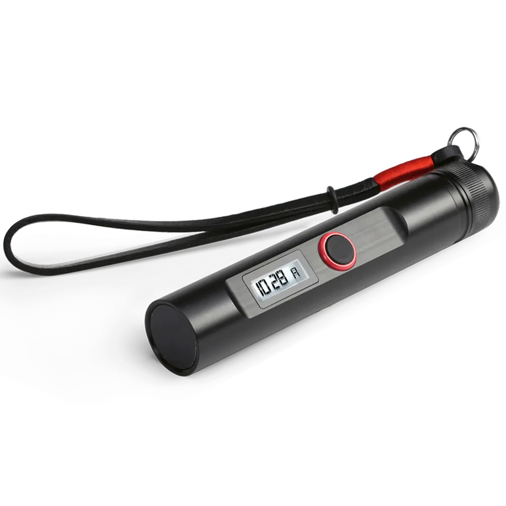 Hotel audio speaker with charging remote control